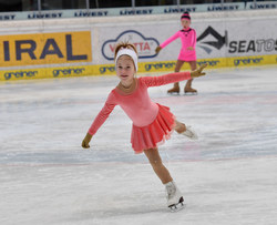 OÖ Eissporttage am 19.2.2018